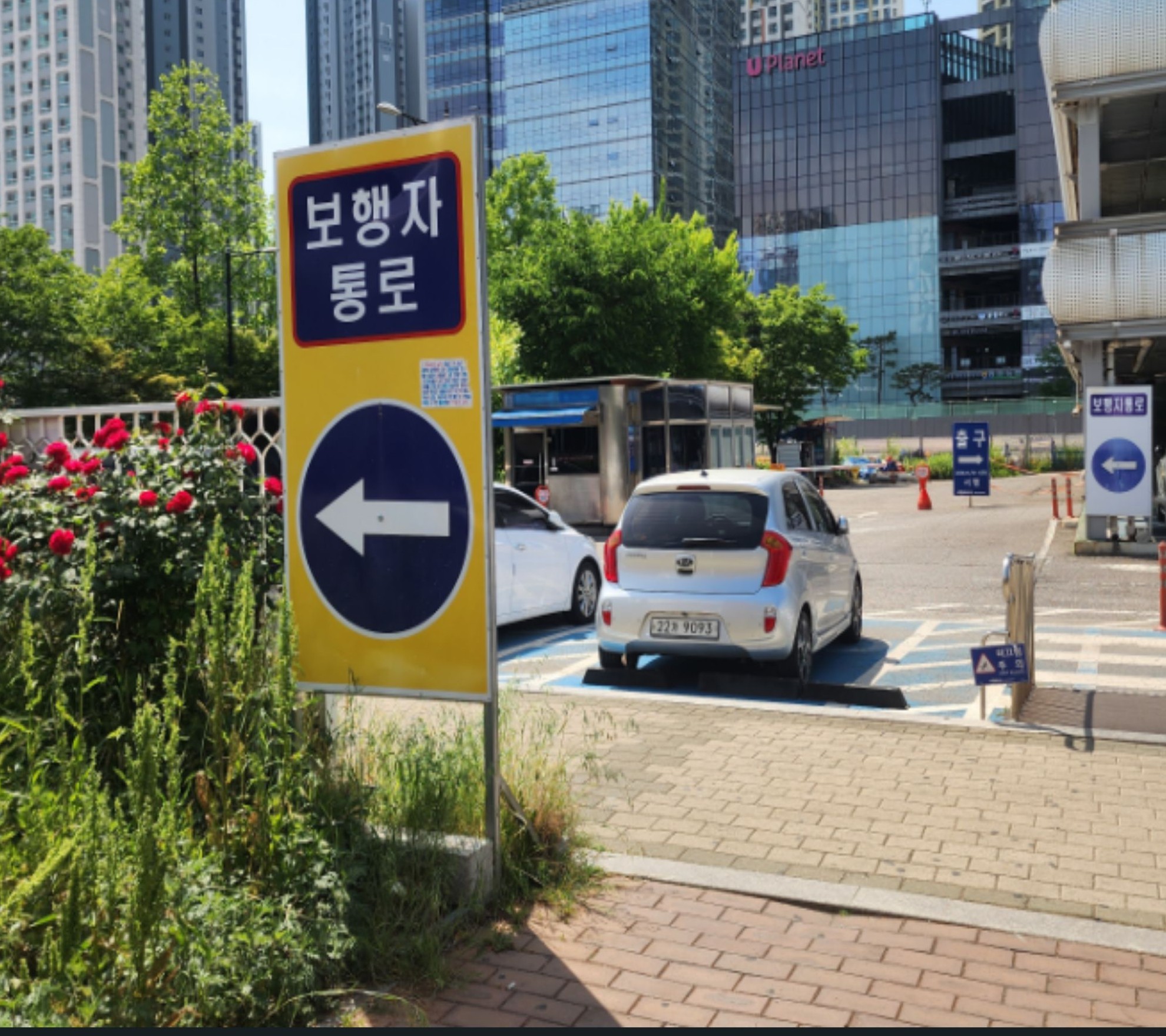 보행자 통로 표지판